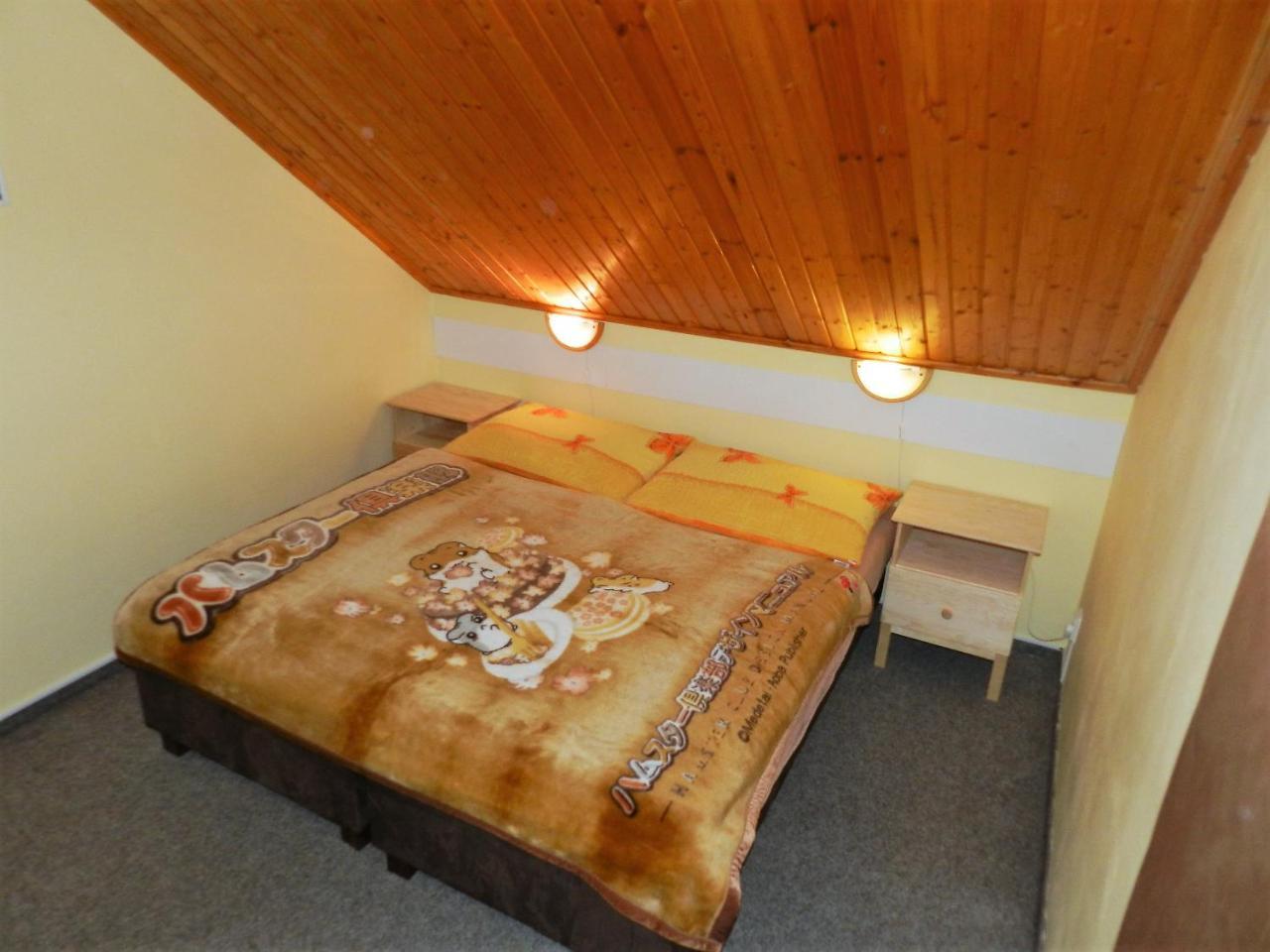 Chalupa U Beranu Hotel Harrachov Kültér fotó